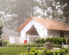 Camping site Luxury Camping (El Valle, Panama)