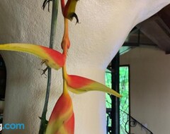 Cijela kuća/apartman Casa Papaya (Uvita, Kostarika)