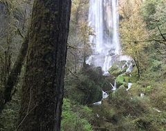 Entire House / Apartment Below The Falls Lodge - Next To Golden & Silver Falls (Coos Bay, USA)