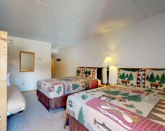 Hotel Comfortable Studio W/ A Minifridge & Shared Hot Tub - Walk To The Lift (Copper Mountain, EE. UU.)