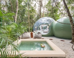 Bubble Hotel In The Mayan Jungle (Puerto Morelos, Mexico)