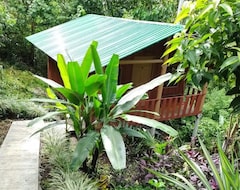 Toàn bộ căn nhà/căn hộ Mountain Lodge (Puntarenas, Costa Rica)