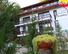 Guesthouse Pensiunea Stejarul (Vernești, Romania)