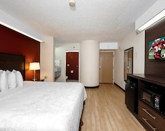 Otel Red Roof Inn Plus+ Palm Coast (Palm Coast, ABD)