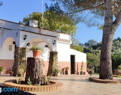 Hele huset/lejligheden Casa Rural San Antonio (La Puebla de los Infantes, Spanien)
