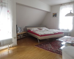 Tüm Ev/Apart Daire 2 Rooms. Apartment In Direct Old Town Location Am Rathausplatz With South-west Balcony (Freiburg, Almanya)