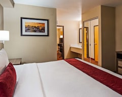 Otel Best Western Executive Suites (Albuquerque, ABD)