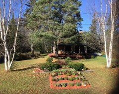 Cijela kuća/apartman Log Cabin Adirondack Lodge On State Trail System (Piseco, Sjedinjene Američke Države)