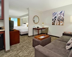 Otel SpringHill Suites by Marriott Chesapeake Greenbrier (Chesapeake, ABD)