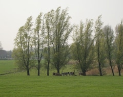 Toàn bộ căn nhà/căn hộ Thatched Farmhouse Located In A Country Area (Leerdam, Hà Lan)