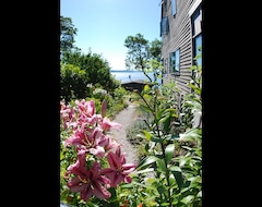 Hele huset/lejligheden The Lookout Private View Patio, 2 Blocks To Beach, No Cleaning Fee, Sleeps 2 (Seattle, USA)