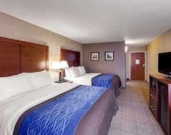 Otel Comfort Inn & Suites Plano East (Plano, ABD)