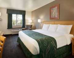 Hotel Travelodge By Wyndham Yermo (Yermo, USA)