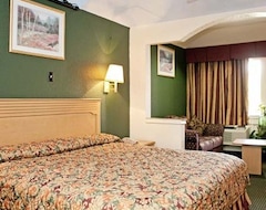 Hotel Palace Inn and Suites Willowbrook (Tomball, Sjedinjene Američke Države)