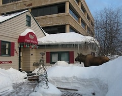 Hotel Copper Whale Inn (Anchorage, USA)