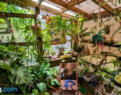 Koko talo/asunto Cozy Af Tiny-house Oasis (Tampa, Amerikan Yhdysvallat)