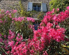 Toàn bộ căn nhà/căn hộ Provence House With Mountain And Country Views And Bistro Next Door (Saint-Martin-de-Castillon, Pháp)