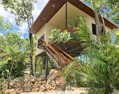 Toàn bộ căn nhà/căn hộ Treetop Oceanview Villa Close To Town (Carmona, Costa Rica)