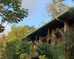 Cijela kuća/apartman CabaÑa Bambura 1: Amazing View, Nature Sourranded! (Bahía Ballena, Kostarika)