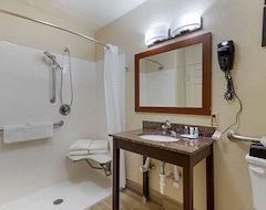 Hotel Comfort Inn & Suites Near Six Flags & Medical Center (San Antonio, EE. UU.)