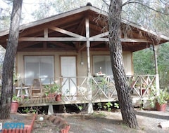 Entire House / Apartment Lodge Luna Nueva (Chillán Viejo, Chile)