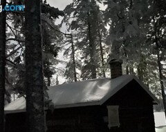 Kampiranje Pine Tree Cabin (Glommersträsk, Švedska)