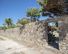 Tüm Ev/Apart Daire Beautiful Stone House In El Palmar, 500M From The Beach (Vejer de la Frontera, İspanya)