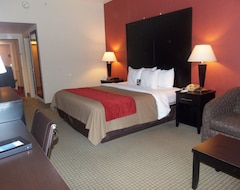 Hotel Comfort Inn & Suites York (York, USA)