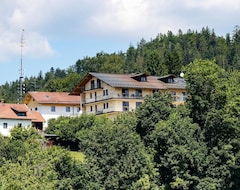 Khách sạn Das Palmberger (Spiegelau, Đức)
