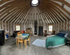 Entire House / Apartment Off Grid Yurt In Birding Area, Access To State Rec Trail And Whiteface River (Meadowlands, USA)