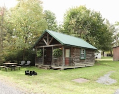 Hele huset/lejligheden Primitive Cabin 1 - Hartman Center (Milroy, USA)