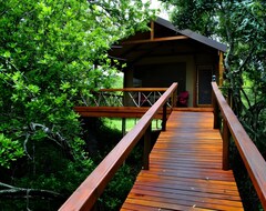 Hotel Lion Tree Top Lodge (Hoedspruit, South Africa)