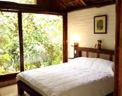 Camping site La Penal Amazon Lodge (Mera, Ecuador)