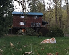 Hele huset/lejligheden Artistic Comfort At North Cascades Ecogarden! Non-toxic (Concrete, USA)