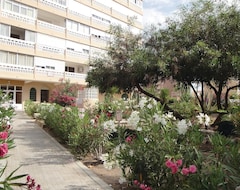 Entire House / Apartment 1 Bedroom Accommodation In Torrevieja (Torrevieja, Spain)