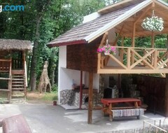 Guesthouse Stejarul (Vernești, Romania)