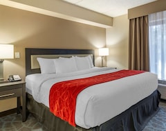 Otel Comfort Suites Alpharetta - Roswell - Atlanta Area (Alpharetta, ABD)