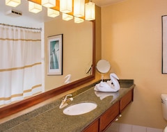 Hotel Bwi Airport Marriott (Linthicum, USA)