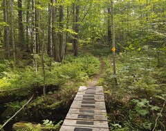 Hele huset/lejligheden Beautiful Cabin Next To Hiking Trails And Forest Reserve (Center Lovell, USA)