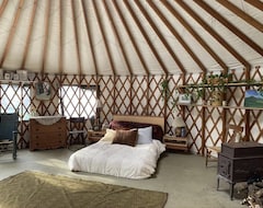 Tüm Ev/Apart Daire Cozy Mountain Yurt On Organic Farm (Bristol, ABD)