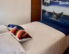 Khách sạn Baja Real Hostel Boutique (La Paz, Mexico)