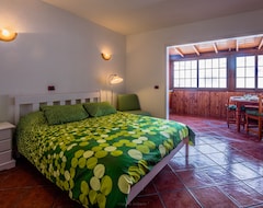 Hele huset/lejligheden Airconditioned Penthouse Studio Two Steps From The Beach (Arona, Spanien)