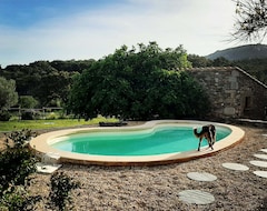 Toàn bộ căn nhà/căn hộ Very Pretty Renovated Country House, Large Garden, Porch, Barbecue And Pool (Cantallops, Tây Ban Nha)