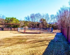 Entire House / Apartment Secluded Pet Friendly Paradise On 3 Acres: Ideal Escape For Large Groups. (San Patricio, USA)