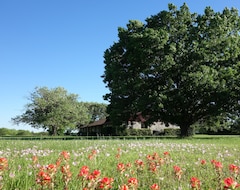 Tüm Ev/Apart Daire Beautiful, Peaceful, Family-friendly Countryside Home Near Austin Tx, Acl, Cota (Elgin, ABD)