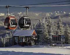 Koko talo/asunto New Listing! Ski-in, Ski-out W/ Pool 2 Bedroom Condo (Aspen, Amerikan Yhdysvallat)
