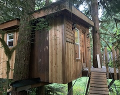 Tüm Ev/Apart Daire Squamish Valley Tree House (Brackendale, Kanada)
