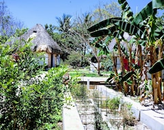 Hotel Casa Maya Melipona - Alberca - Wifi Starlink - Tour Sostenibilidad (Izamal, Meksiko)