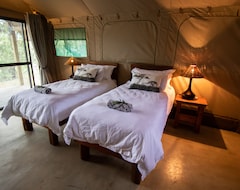 Hotelli Little Africa Safari Lodge (Hoedspruit, Etelä-Afrikka)