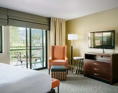 Hotel Hilton Garden Inn Seattle Issaquah (Issaquah, USA)